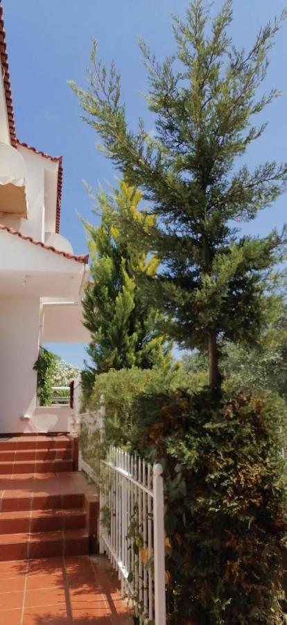 Ευχάριστη Βίλα Στη Χαλκίδα Στην Περιοχή "Αλυκές" 외부 사진